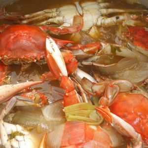 Meet your Posher, Elton